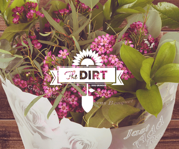 The Dirt - Just Add LOVE!