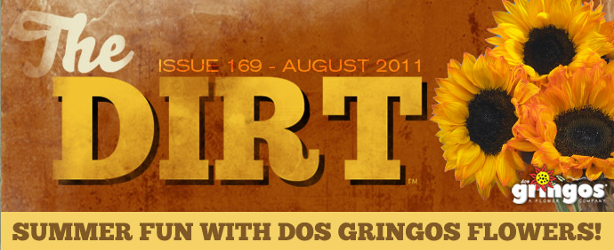 The Dirt - August 2011