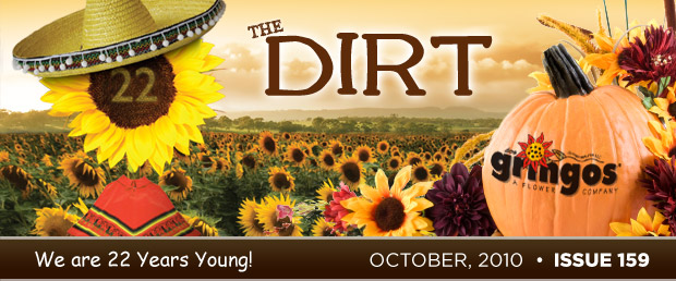 The Dirt - October 2010