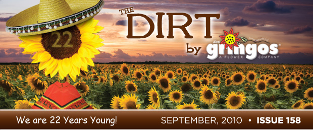 The Dirt - September 2010