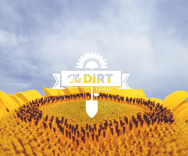 The  Dirt - August Awards