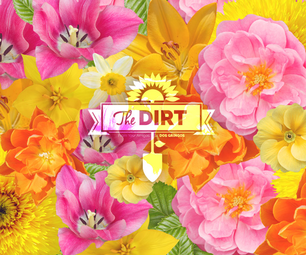 The Dirt - Spring is nature’s way of saying, Let’s party!